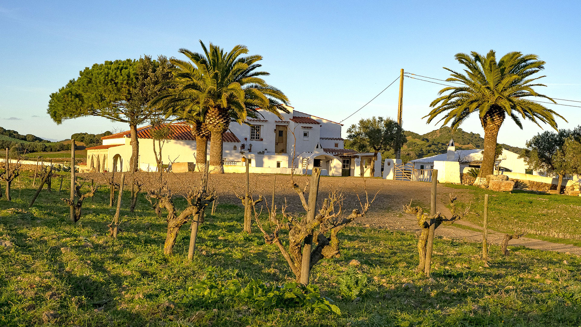 home3